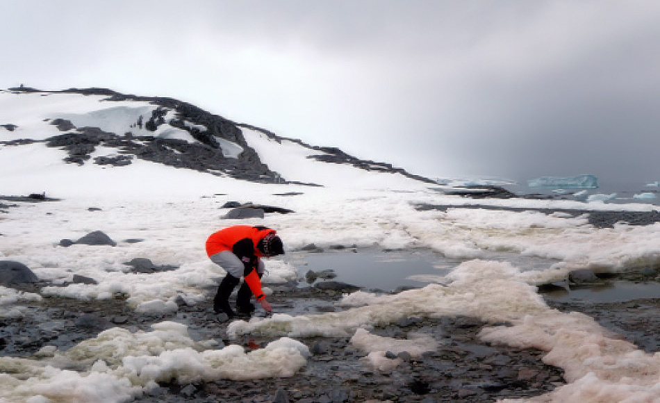 Die Geowissenschaftlerin Julia Kleinteich entnimmt Proben aus Süsswassertümpeln mit Mikroben drin in der Antarktis. Bild: Daniel Farinotti