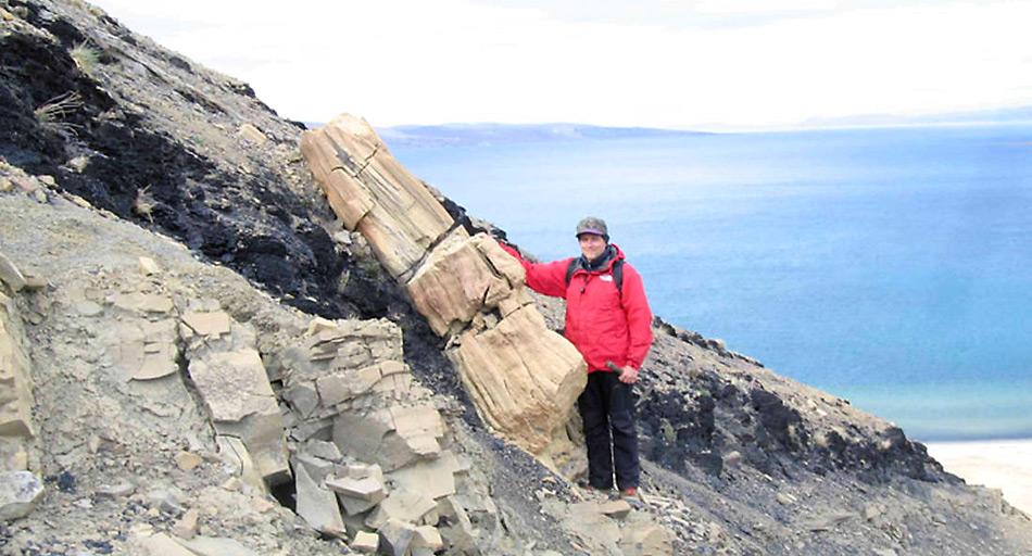 Vor 55 Millionen Jahre bedeckten Wälder die Kanadische Arktis und den Norden Grönlands. Versteinerte Überbleibsel zeugen noch heute davon.