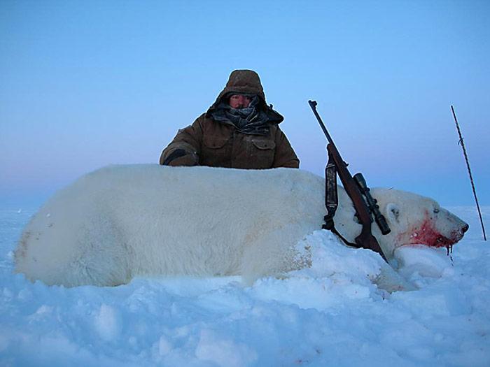 geschossener-Eisbaer